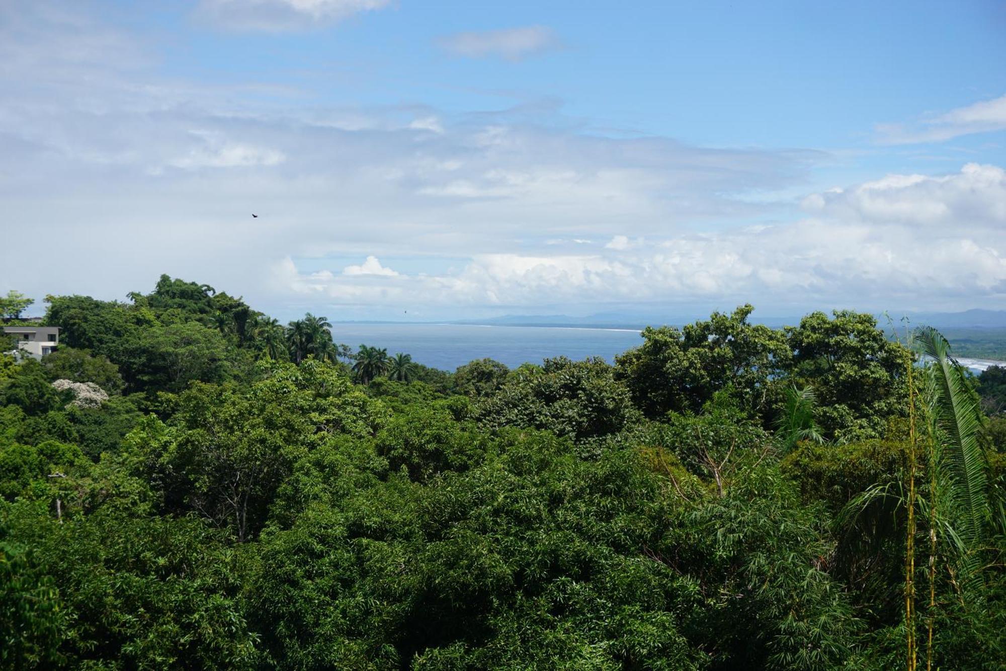 Hotel Planeta Sano Manuel Antonio Exteriör bild